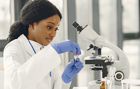 Medical Laboratories